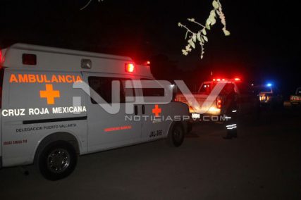 MurioLaMadreDelPatoDeGoma