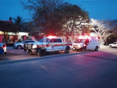 MurioLaMadreDelPatoDeGoma02