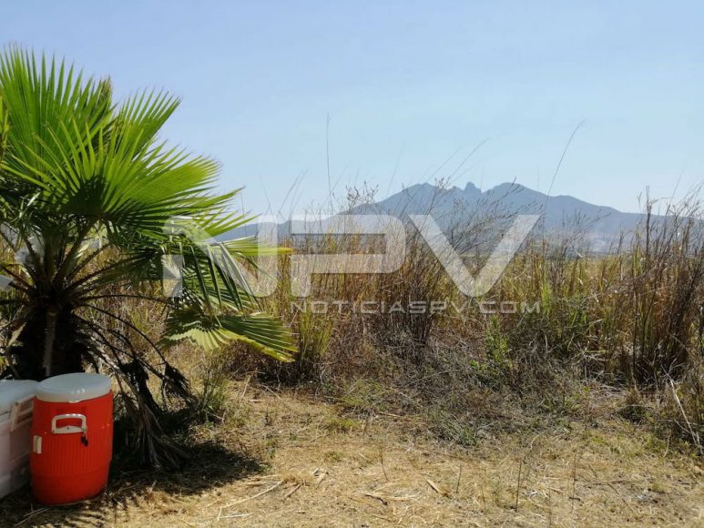 PantanalXalisco07