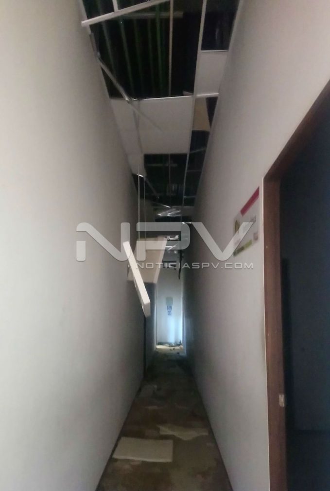 Presidencia de carton05