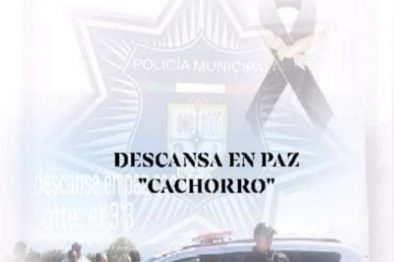 Seguridad 1