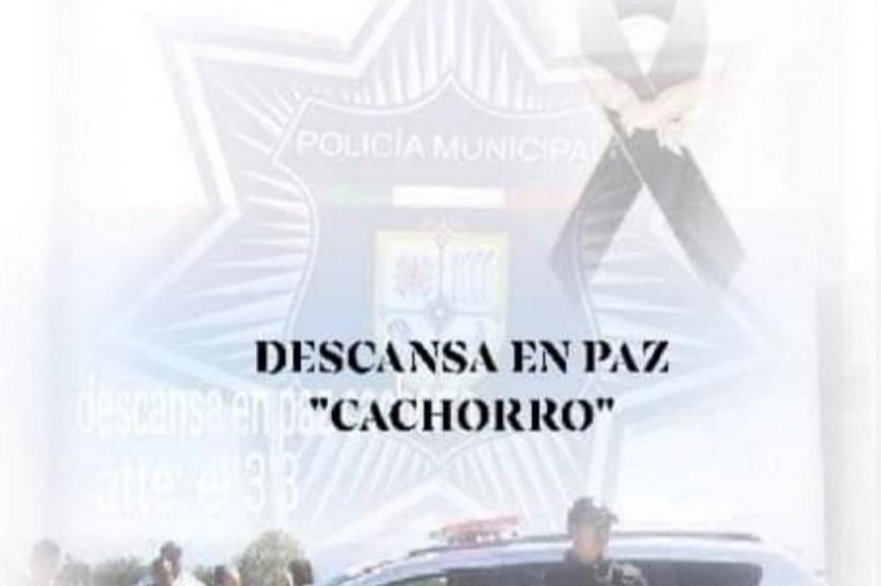 Seguridad 1
