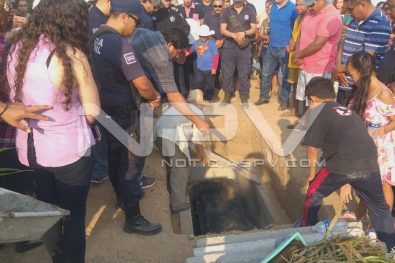 Seguridad 20
