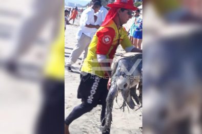 Seguridad Bahia de Banderas ·02