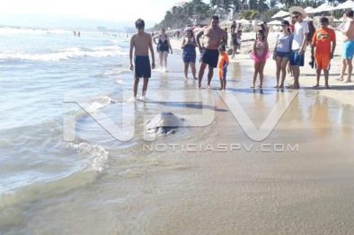 Seguridad Bahia de Banderas ·04