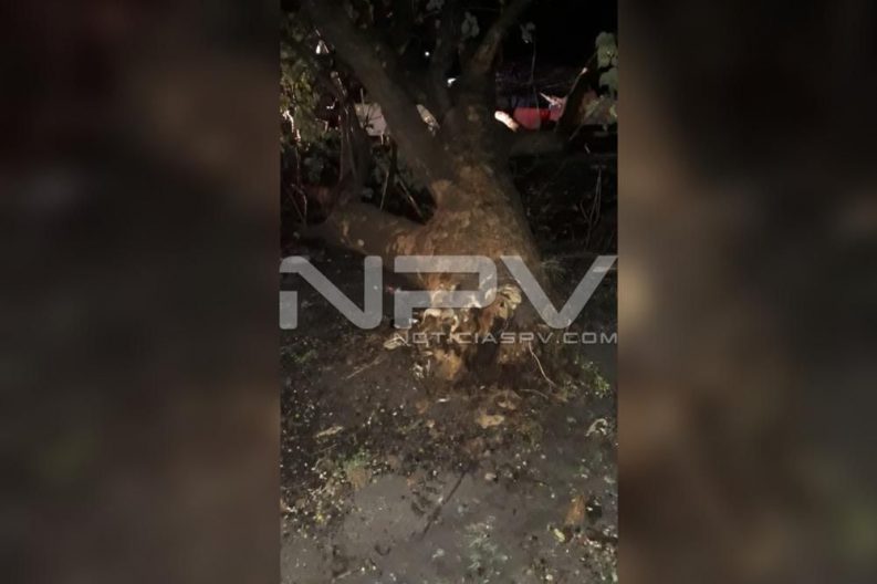 Seguridad Bahia de Banderas ·04