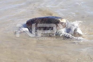 Seguridad Bahia de Banderas ·05