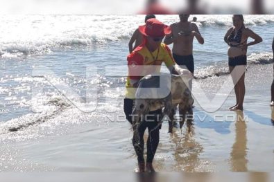 Seguridad Bahia de Banderas ·07
