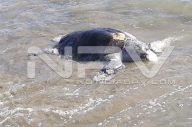 Seguridad Bahia de Banderas ·08