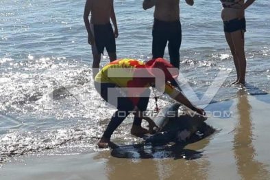 Seguridad Bahia de Banderas ·09