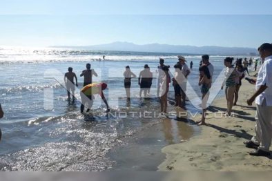Seguridad Bahia de Banderas ·10