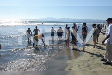 Seguridad Bahia de Banderas ·10