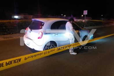 Seguridad Bahia de Banderas ·10