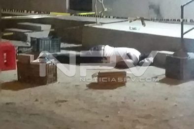 Seguridad Bahia de Banderas ·11