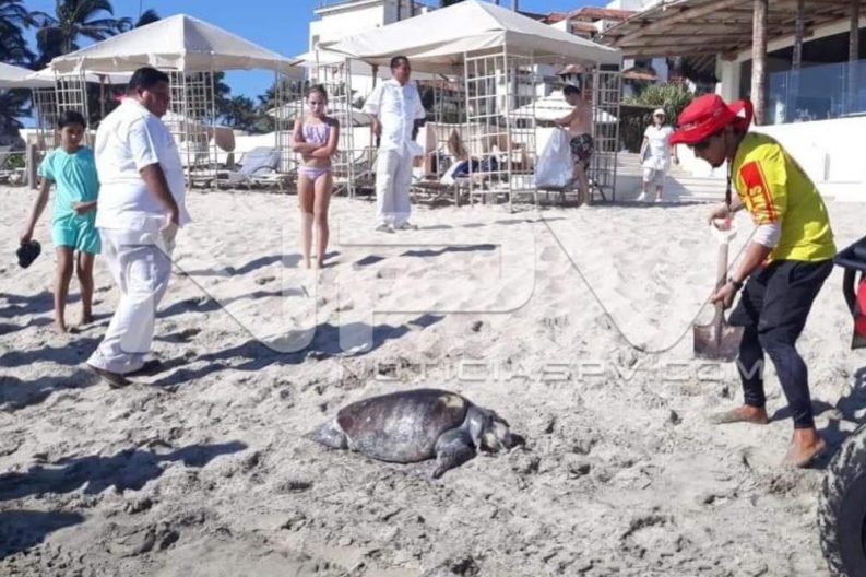 Seguridad Bahia de Banderas ·15