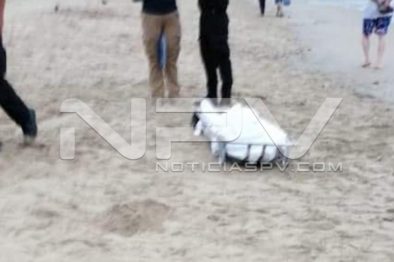 Seguridad Bahia de Banderas ·21
