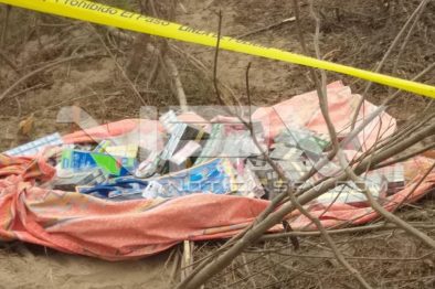 Seguridad Bahia de Banderas ·33