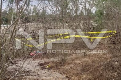 Seguridad Bahia de Banderas ·38