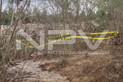 Seguridad Bahia de Banderas ·38