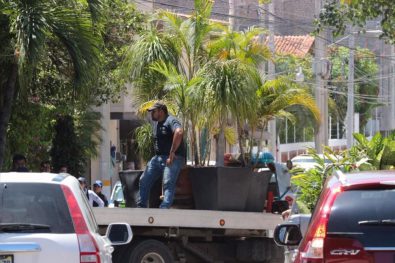 Seguridad 08