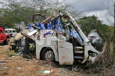 Seguridad 231