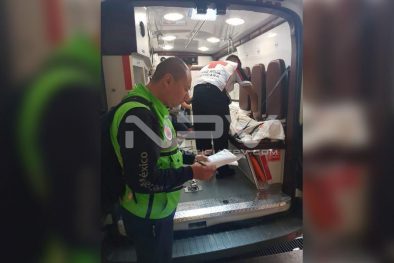 Seguridad 233