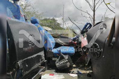 Seguridad 243