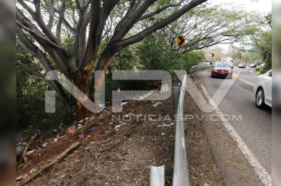 Seguridad 254