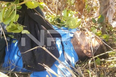 Seguridad Bahia de Banderas ·01