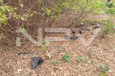 Seguridad Bahia de Banderas ·02