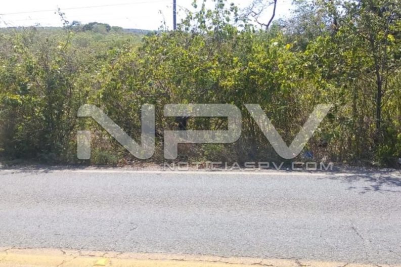 Seguridad Bahia de Banderas ·03