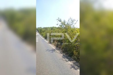 Seguridad Bahia de Banderas ·04