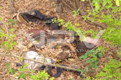 Seguridad Bahia de Banderas ·05