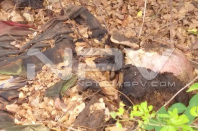 Seguridad Bahia de Banderas ·06