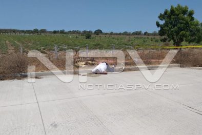 Seguridad Bahia de Banderas ·07