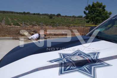 Seguridad Bahia de Banderas ·10