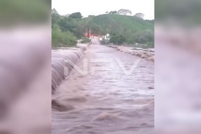 Seguridad Bahia de Banderas ·1033