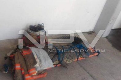 Seguridad Bahia de Banderas ·1140