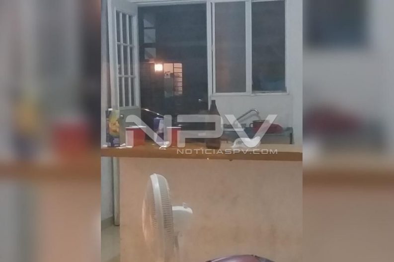 Seguridad Bahia de Banderas ·1175