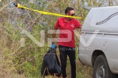 Seguridad Bahia de Banderas ·12