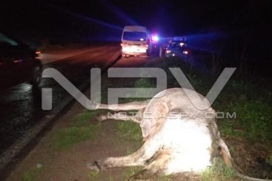 Seguridad Bahia de Banderas ·120