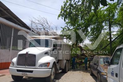 Seguridad Bahia de Banderas ·1225