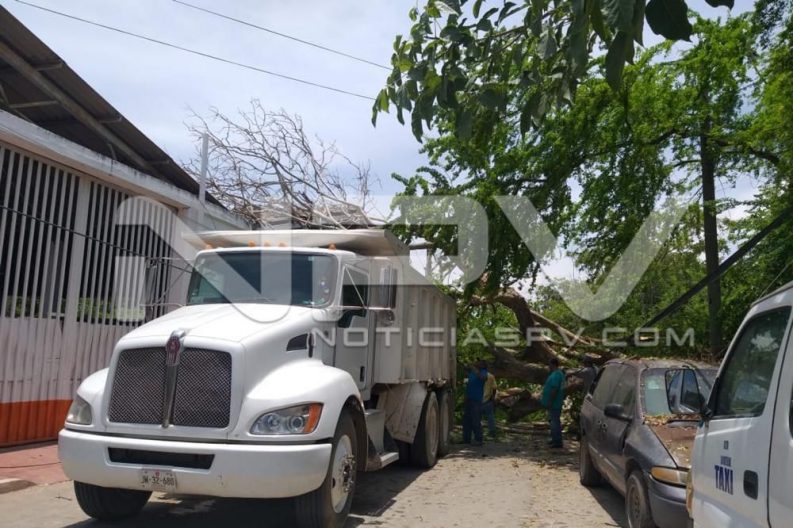 Seguridad Bahia de Banderas ·1225