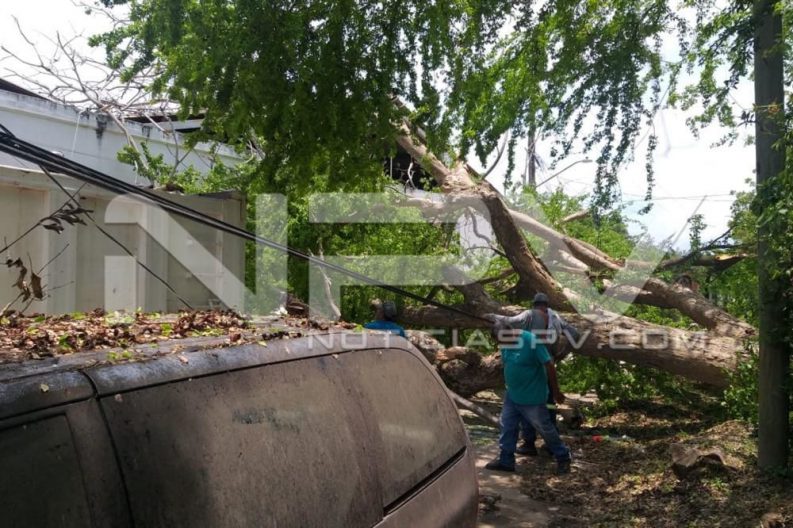 Seguridad Bahia de Banderas ·1228