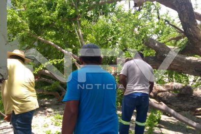 Seguridad Bahia de Banderas ·1230