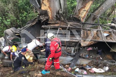 Seguridad Bahia de Banderas ·1291