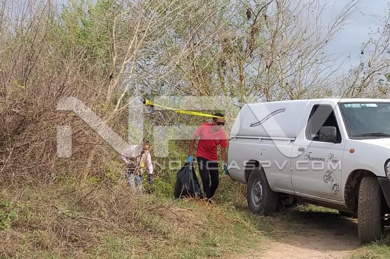 Seguridad Bahia de Banderas ·13