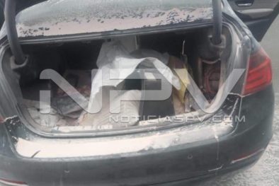 Seguridad Bahia de Banderas ·134