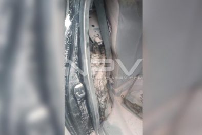 Seguridad Bahia de Banderas ·135