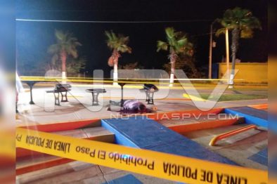 Seguridad Bahia de Banderas ·137